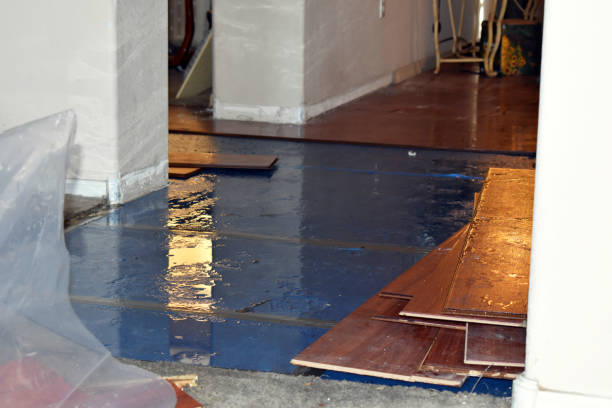 Professional Flood Cleanup technician working in Burbank, WA